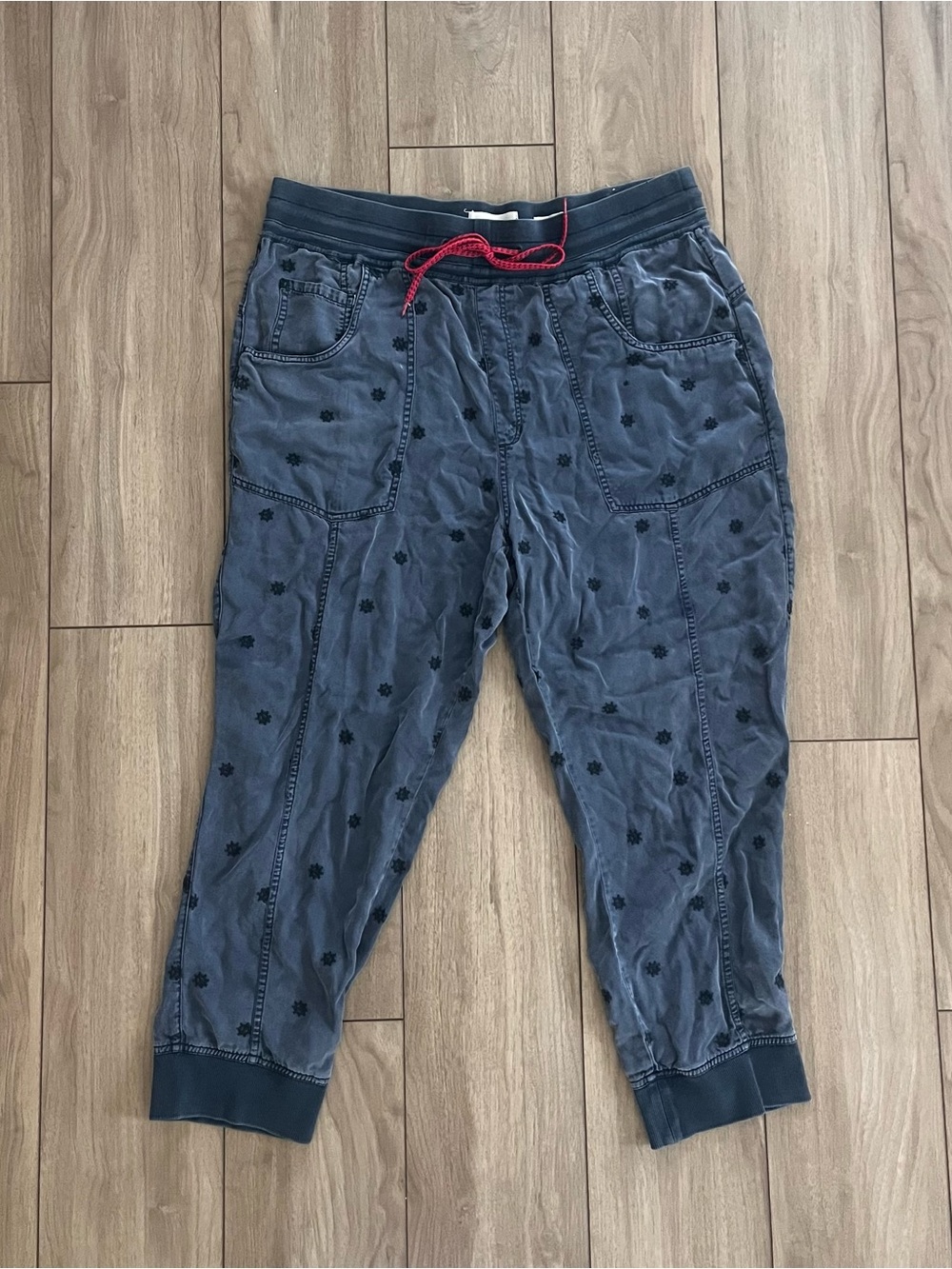 Anthropologie Pilcro The Nomad Embroidered Joggers XL Blue